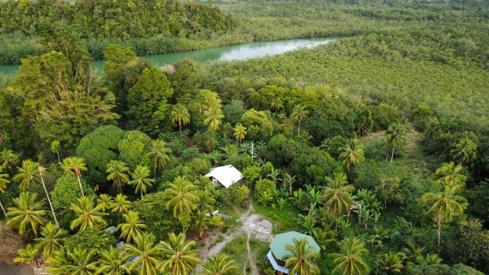 Popochos Beach Eco Lodge Nuqui Ngoại thất bức ảnh